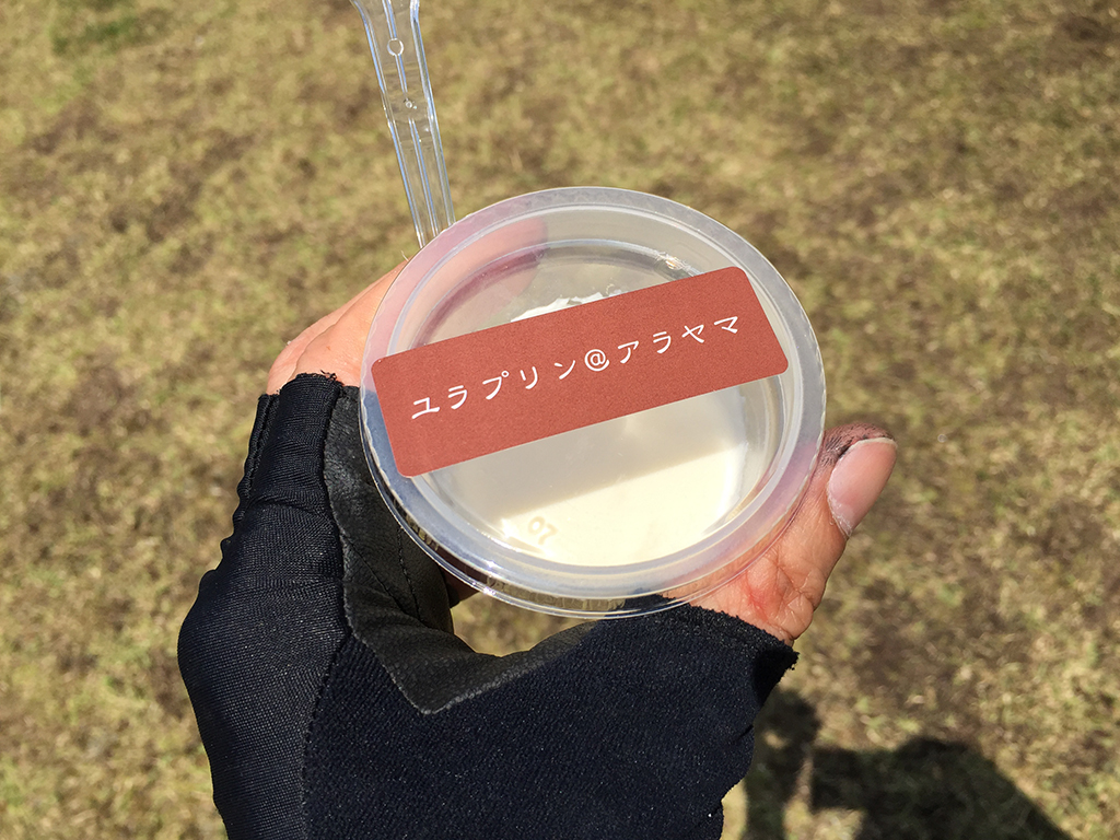 f:id:curuhamu:20180610194117j:plain