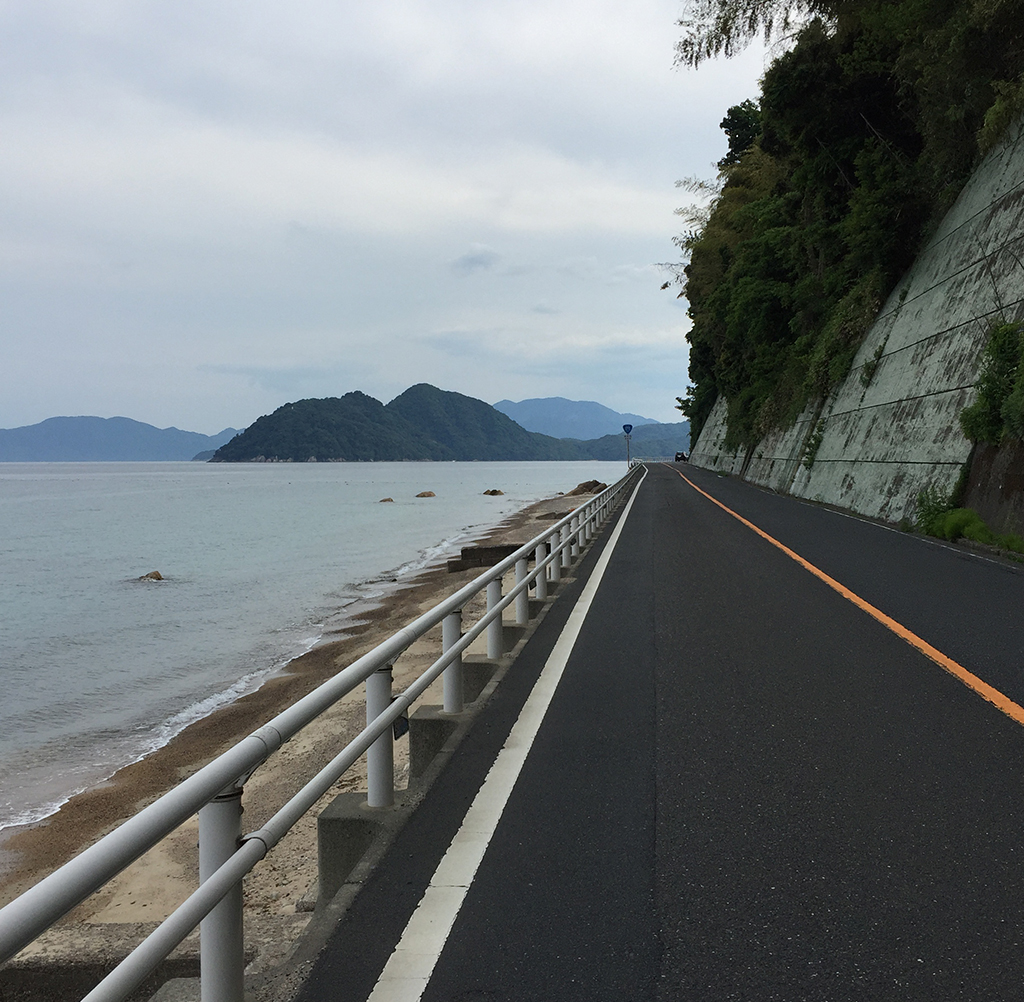 f:id:curuhamu:20180610194125j:plain