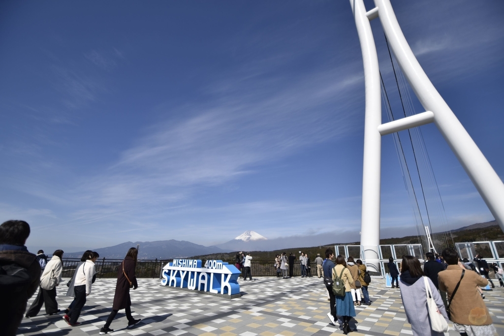 f:id:custard_pudding23:20180303105439j:plain f:id:custard_pudding23:20180303105439j:plain