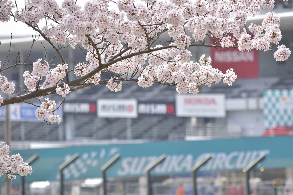 f:id:custard_pudding23:20180331095426j:plain f:id:custard_pudding23:20180331095426j:plain