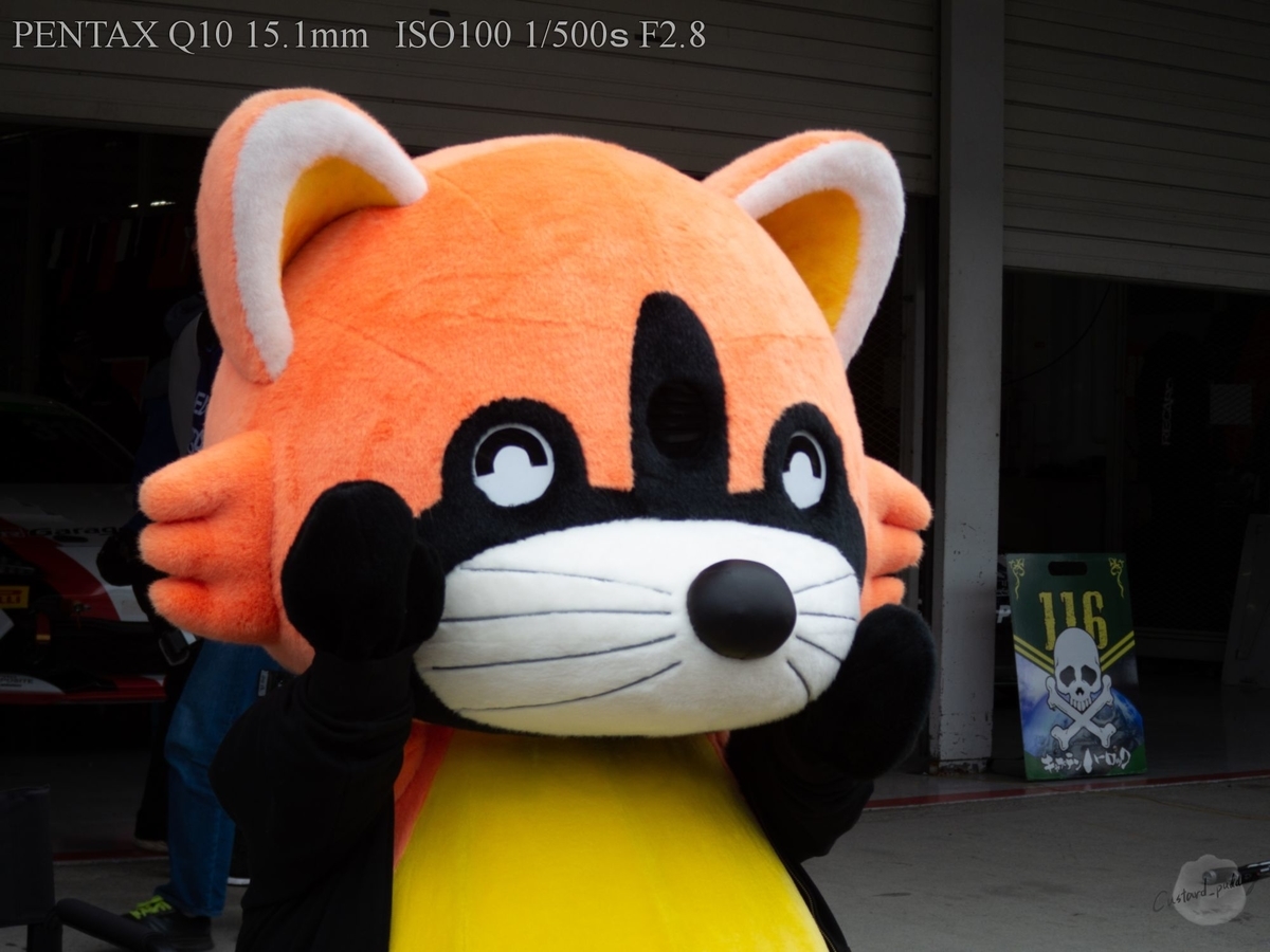 f:id:custard_pudding23:20190323111624j:plain