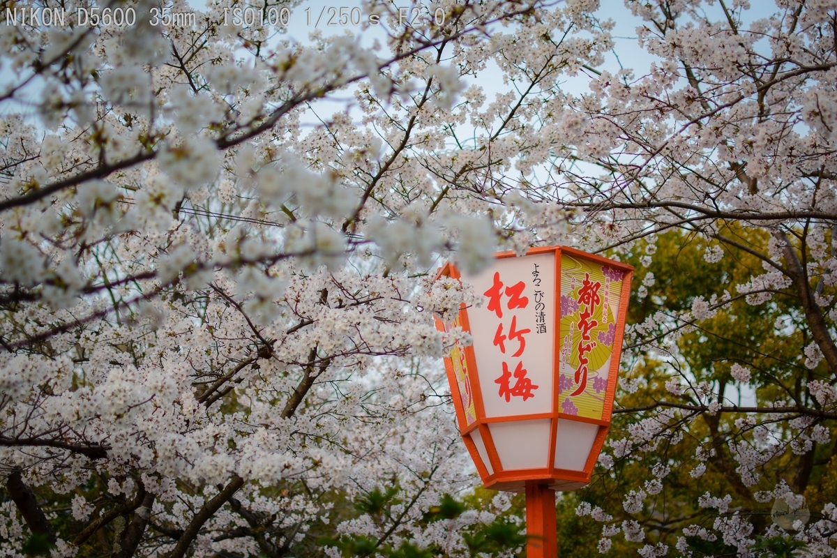 f:id:custard_pudding23:20190406175502j:plain