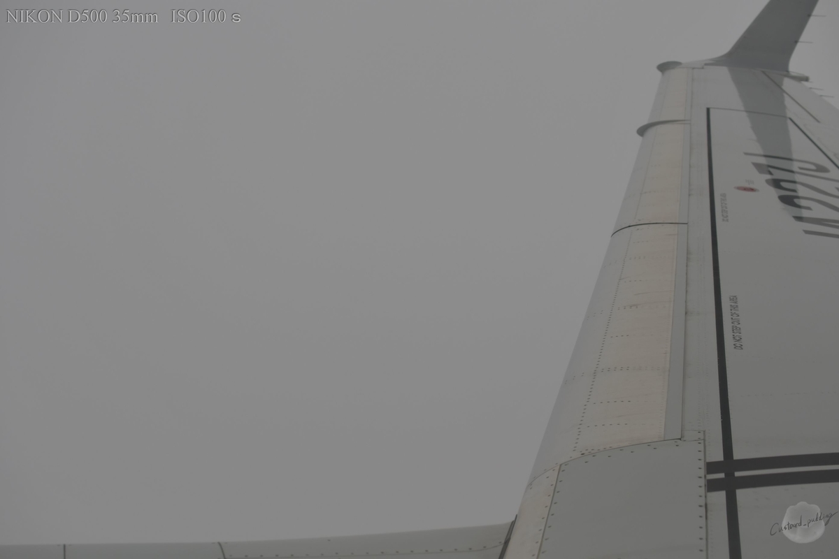 f:id:custard_pudding23:20190720075638j:plain