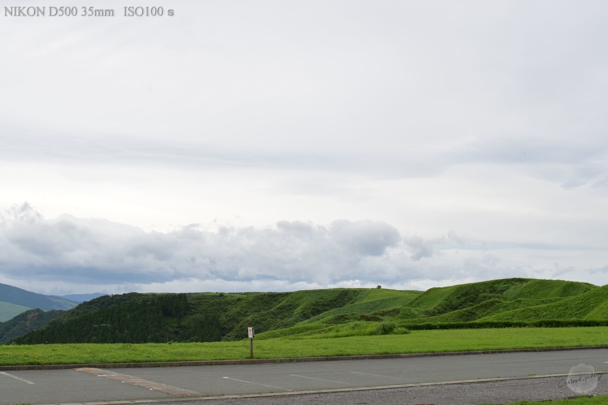 f:id:custard_pudding23:20190720100458j:plain
