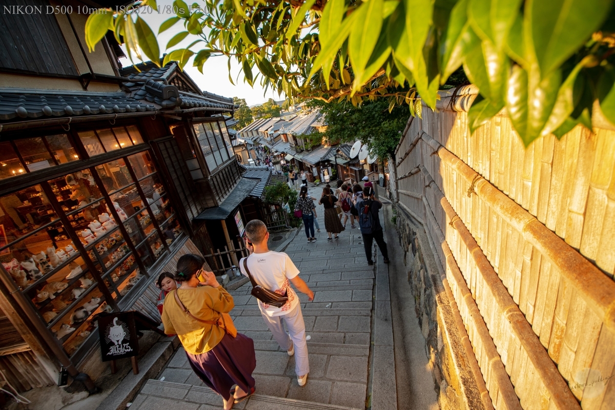 f:id:custard_pudding23:20190907174100j:plain f:id:custard_pudding23:20190907174100j:plain