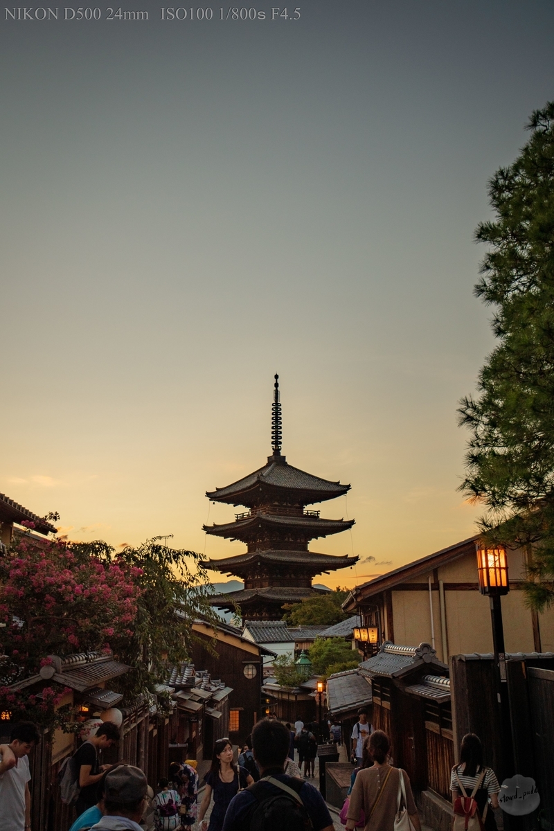 f:id:custard_pudding23:20190907180659j:plain f:id:custard_pudding23:20190907180659j:plain