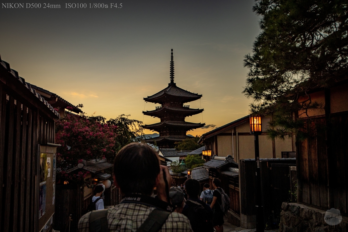 f:id:custard_pudding23:20190907180828j:plain f:id:custard_pudding23:20190907180828j:plain