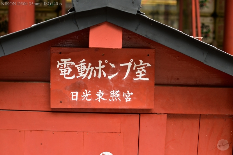 f:id:custard_pudding23:20190916113250j:plain