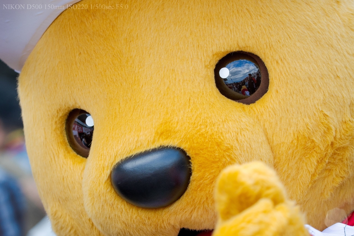 f:id:custard_pudding23:20191026140207j:plain f:id:custard_pudding23:20191026140207j:plain