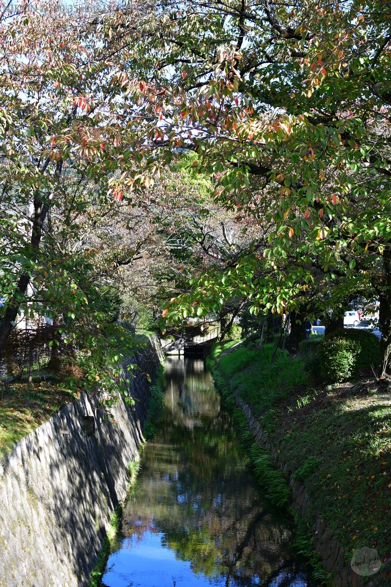 f:id:custard_pudding23:20191104145352j:plain f:id:custard_pudding23:20191104145352j:plain