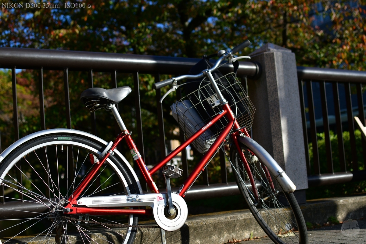 f:id:custard_pudding23:20191104145541j:plain f:id:custard_pudding23:20191104145541j:plain