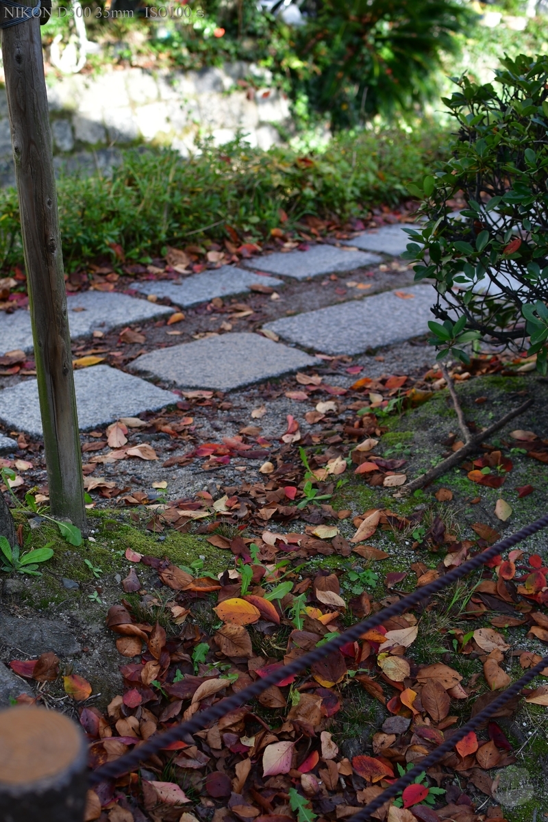 f:id:custard_pudding23:20191104150113j:plain f:id:custard_pudding23:20191104150113j:plain