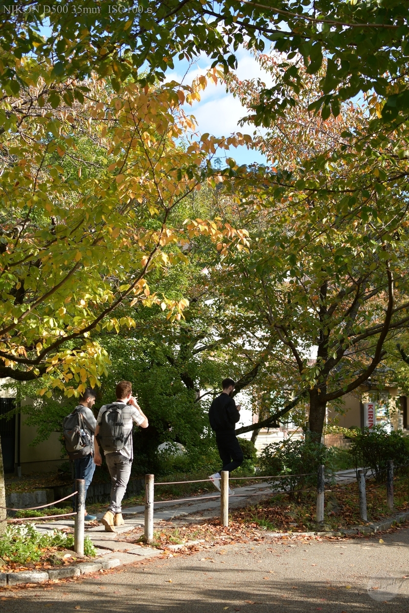 f:id:custard_pudding23:20191104150232j:plain f:id:custard_pudding23:20191104150232j:plain