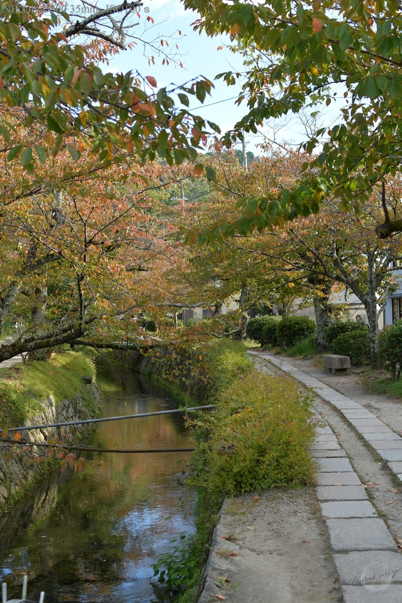 f:id:custard_pudding23:20191104150536j:plain f:id:custard_pudding23:20191104150536j:plain