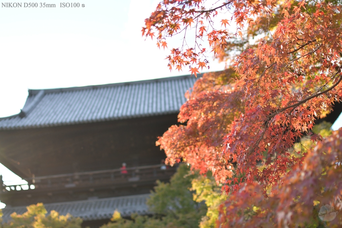 f:id:custard_pudding23:20191104155214j:plain f:id:custard_pudding23:20191104155214j:plain