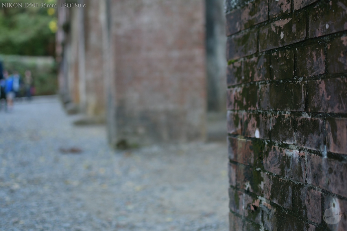 f:id:custard_pudding23:20191104155850j:plain f:id:custard_pudding23:20191104155850j:plain