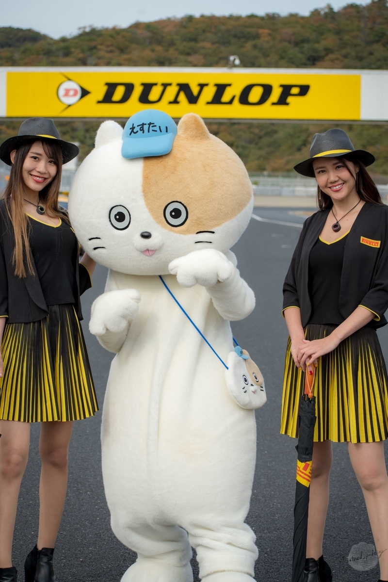 f:id:custard_pudding23:20191115230125j:plain