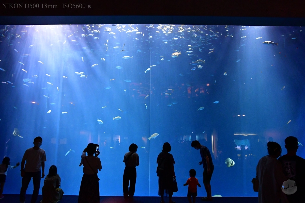 f:id:custard_pudding23:20200621132811j:plain