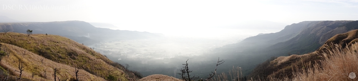 f:id:custard_pudding23:20201213084802j:plain