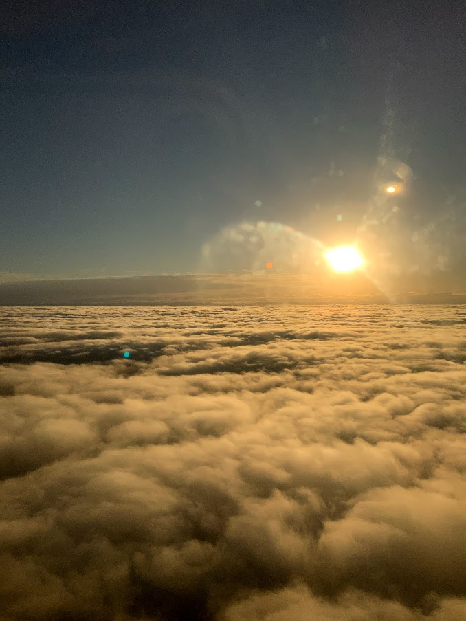 f:id:custard_pudding23:20201216213608p:plain