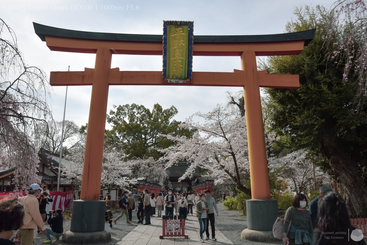 f:id:custard_pudding23:20210327144057j:plain