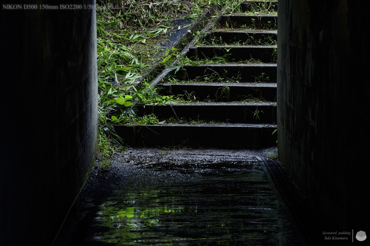 f:id:custard_pudding23:20210822083802j:plain