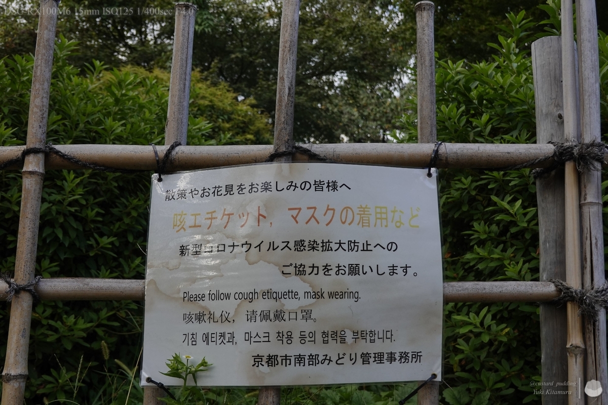 f:id:custard_pudding23:20211010153053j:plain