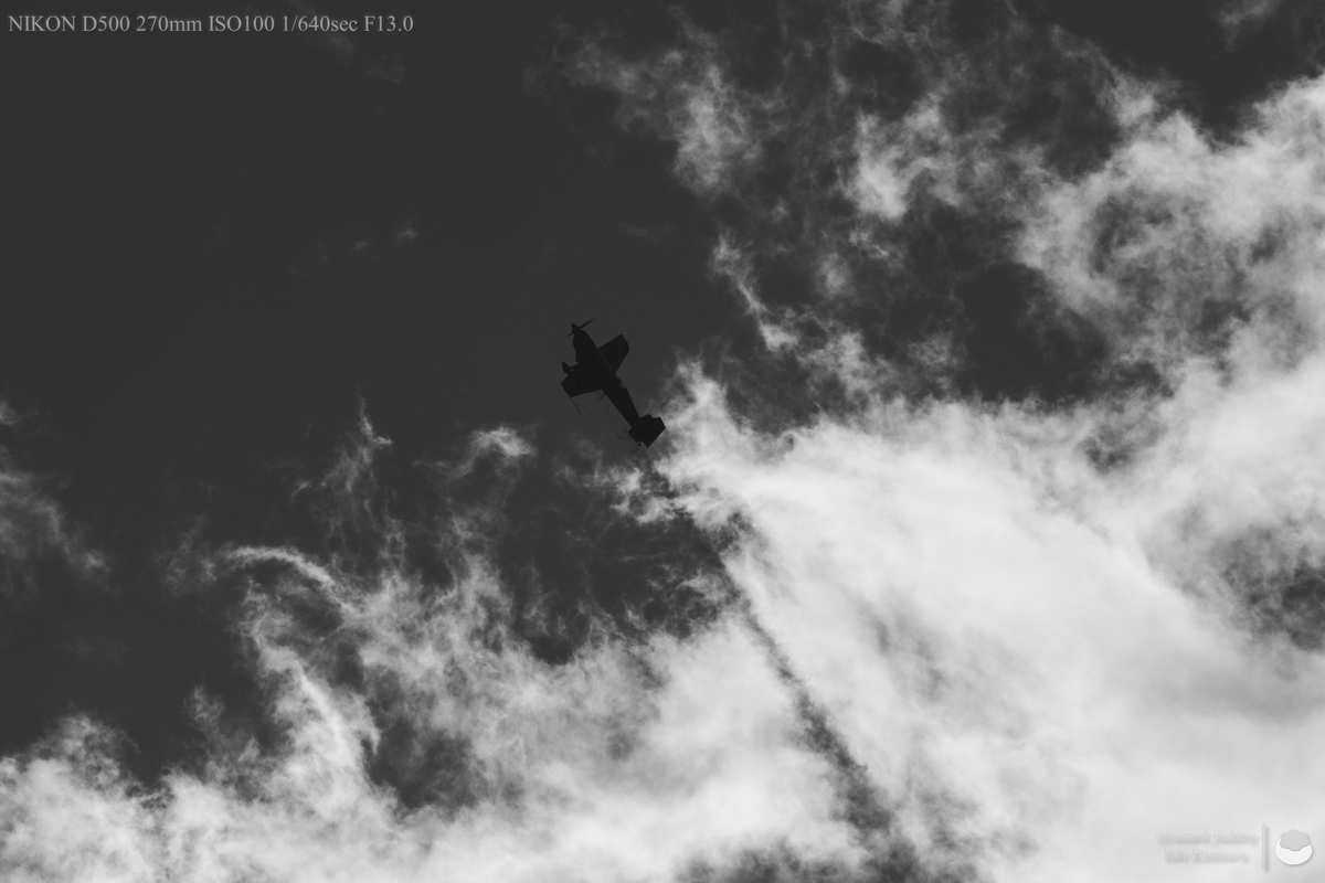 f:id:custard_pudding23:20211127123955j:plain