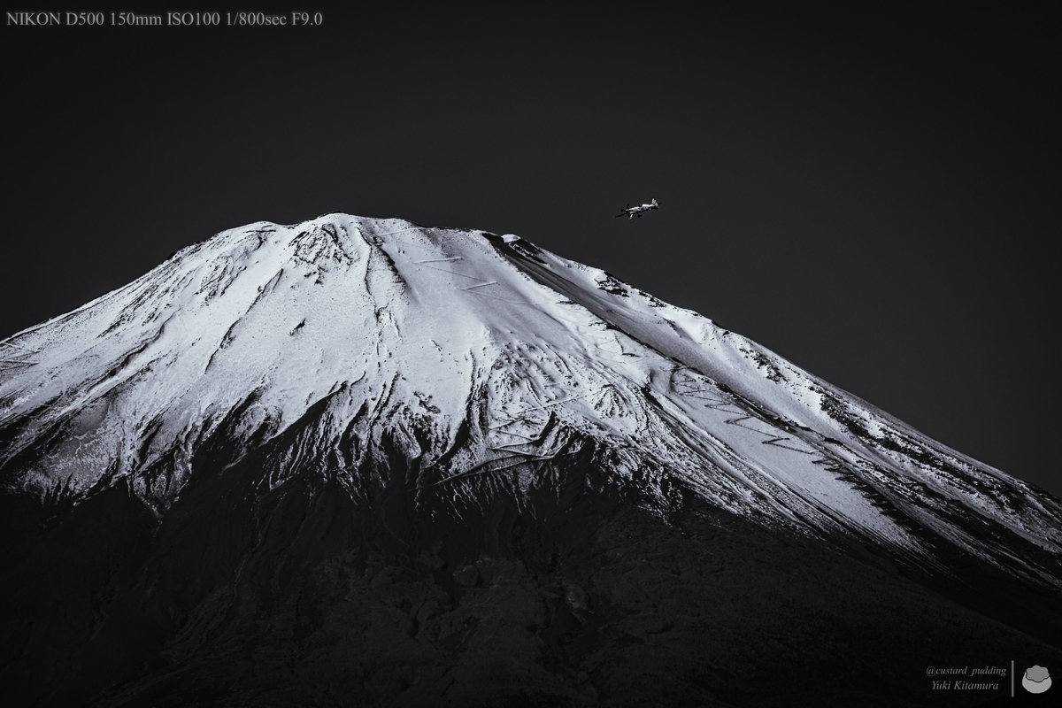 f:id:custard_pudding23:20211128111248j:plain