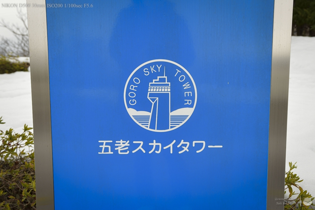 f:id:custard_pudding23:20220129141407j:plain