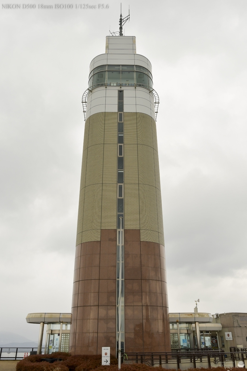 f:id:custard_pudding23:20220129141431j:plain