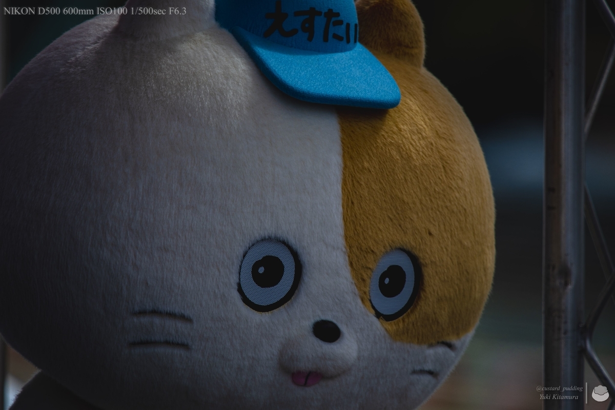 f:id:custard_pudding23:20220319130725j:plain