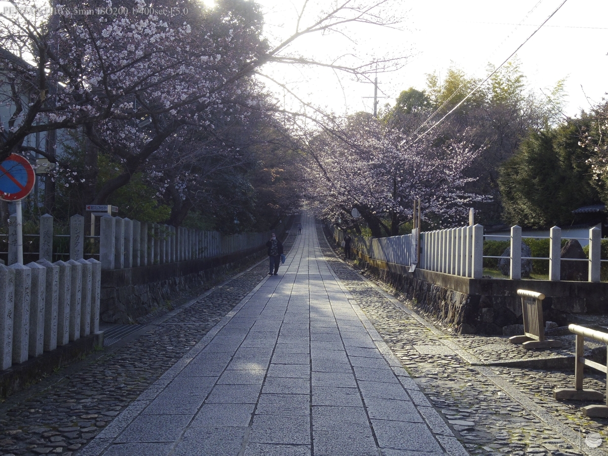 f:id:custard_pudding23:20220327164702j:plain