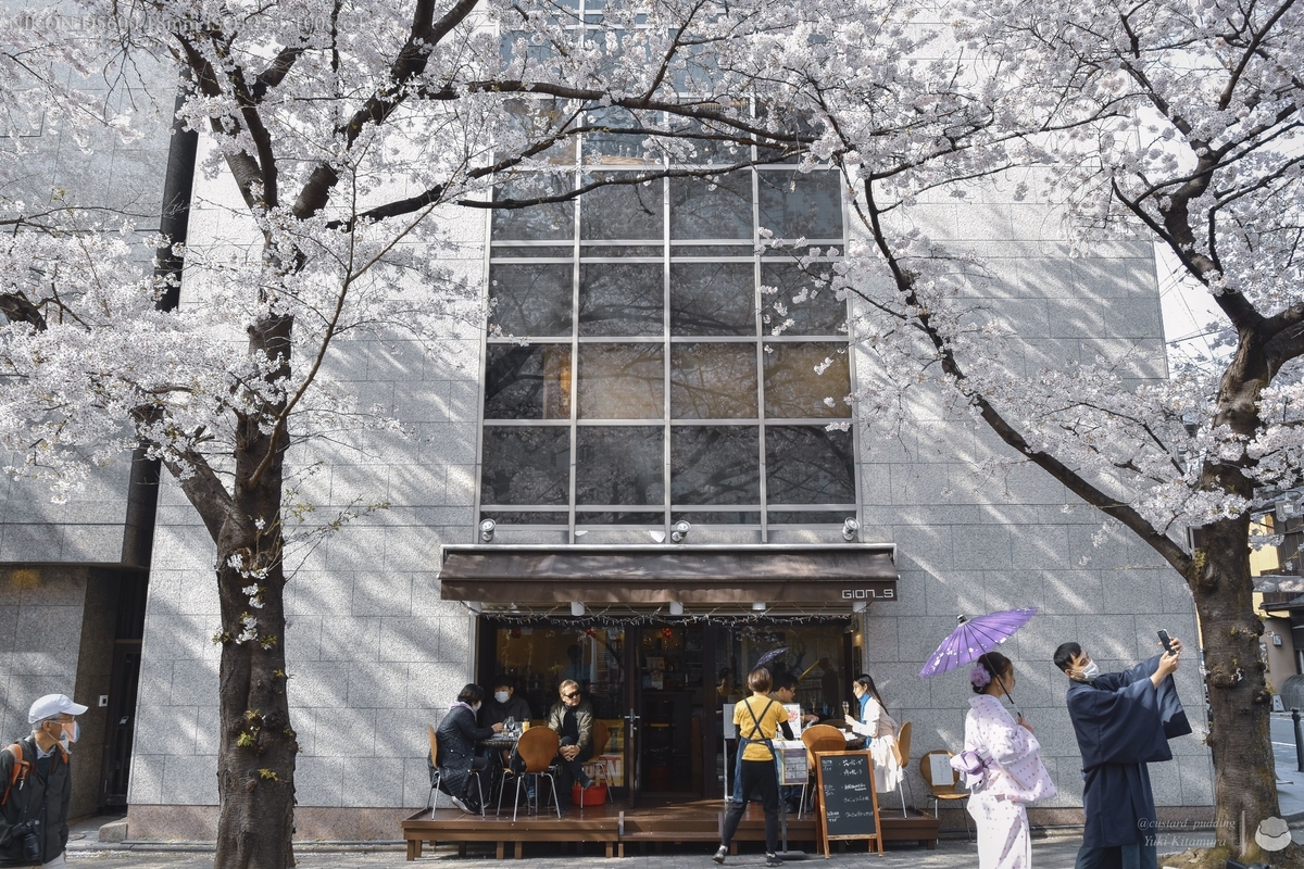 f:id:custard_pudding23:20220402150234j:plain