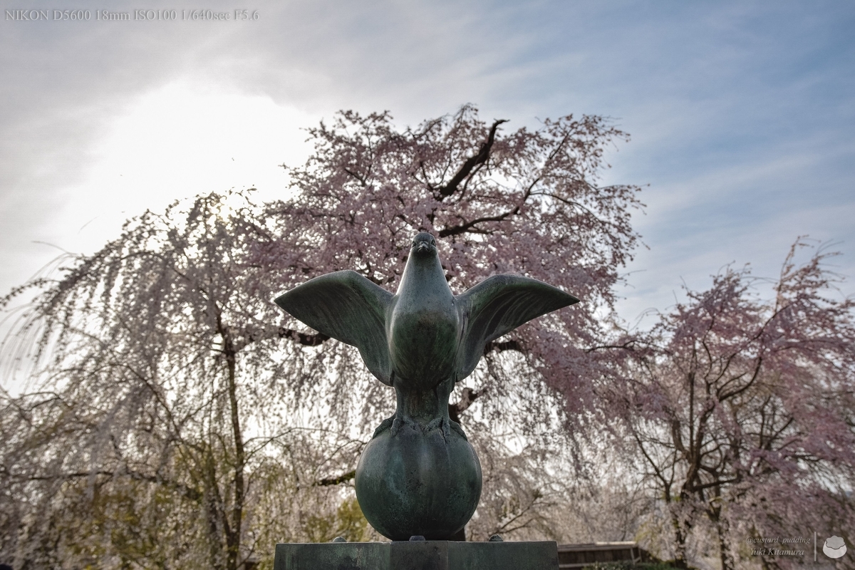 f:id:custard_pudding23:20220402154338j:plain