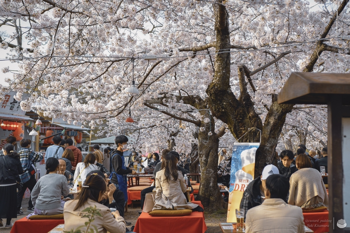 f:id:custard_pudding23:20220402162223j:plain