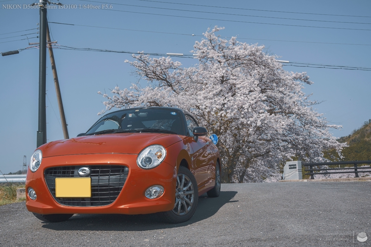 f:id:custard_pudding23:20220410090210j:plain