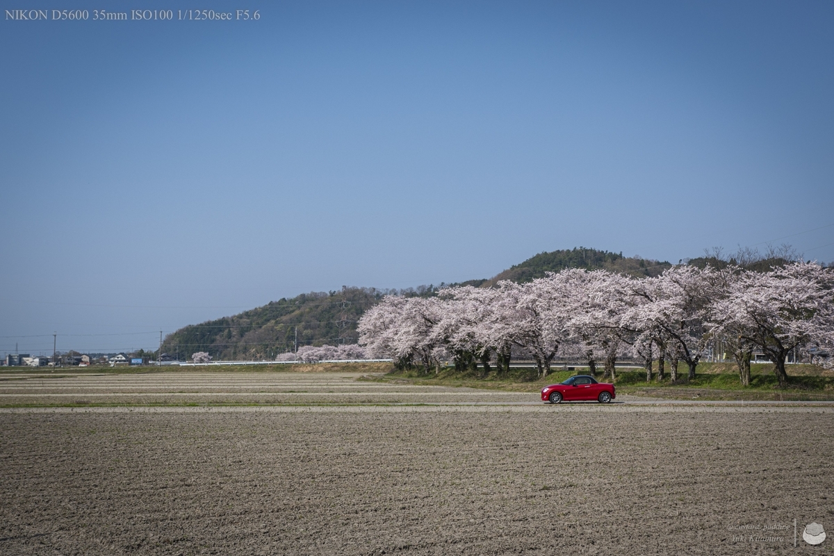 f:id:custard_pudding23:20220410090737j:plain