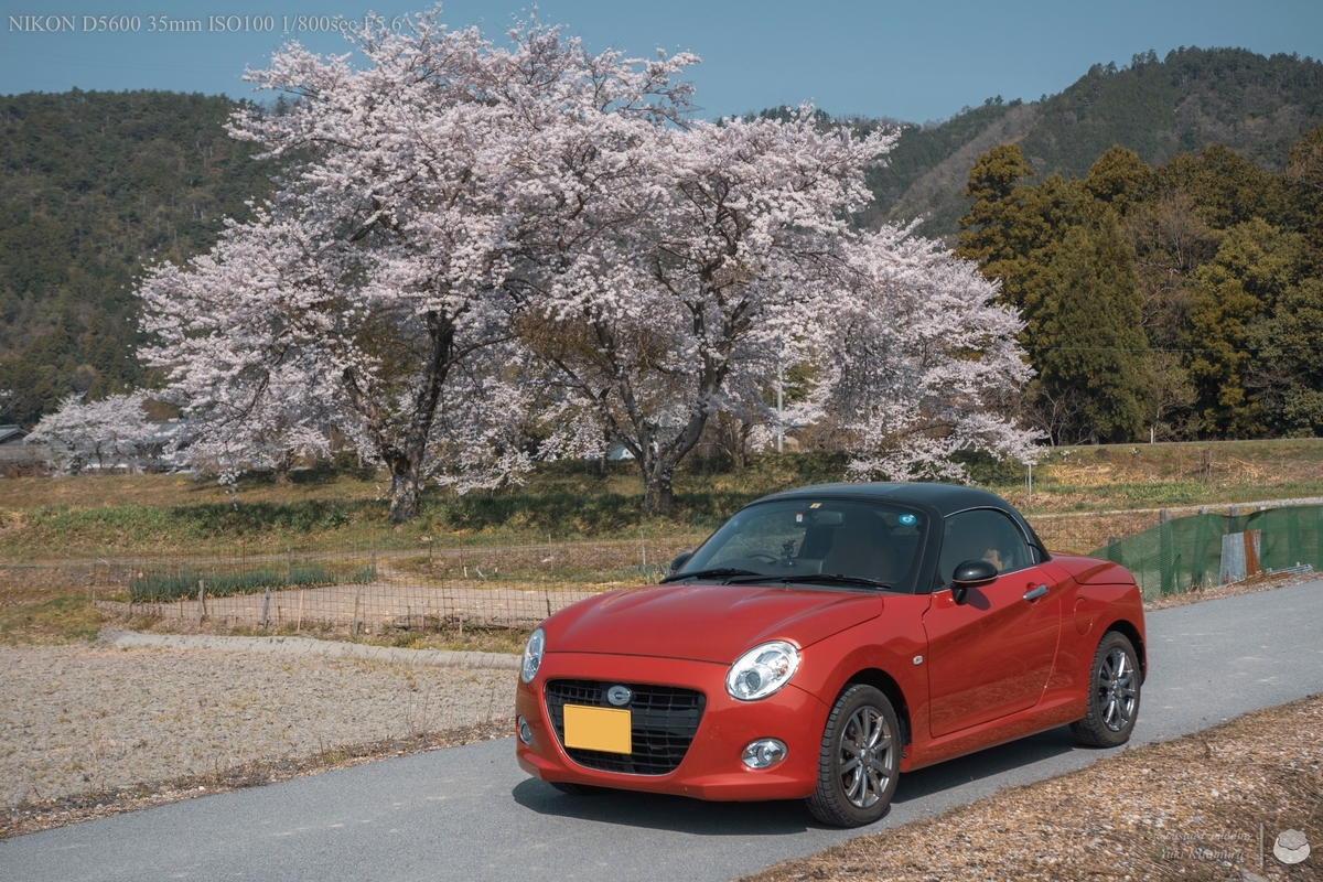 f:id:custard_pudding23:20220410091005j:plain