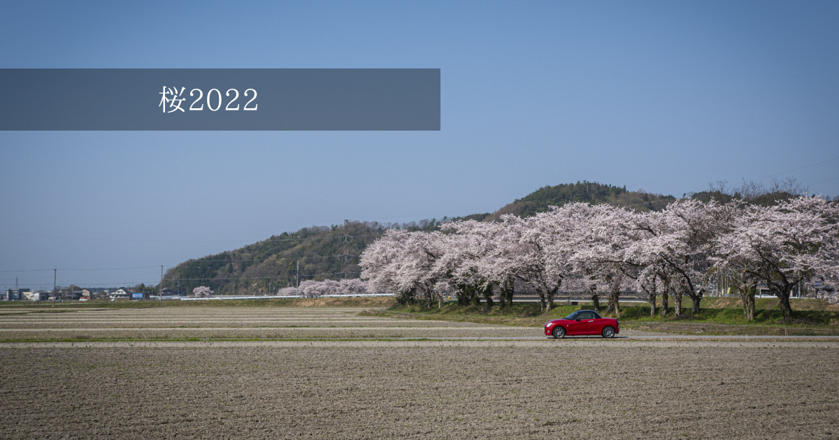 f:id:custard_pudding23:20220411224304p:plain