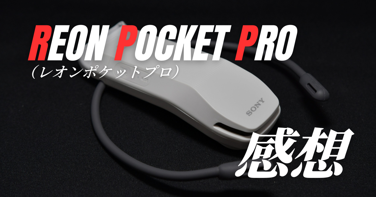 SONY REON POCKET PRO レオンポケットプロ 31oyE1ejTuL.jpg_BO30,255,255,