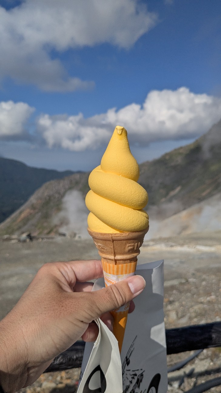 f:id:custard_pudding23:20251231124537j:image f:id:custard_pudding23:20251231124537j:image