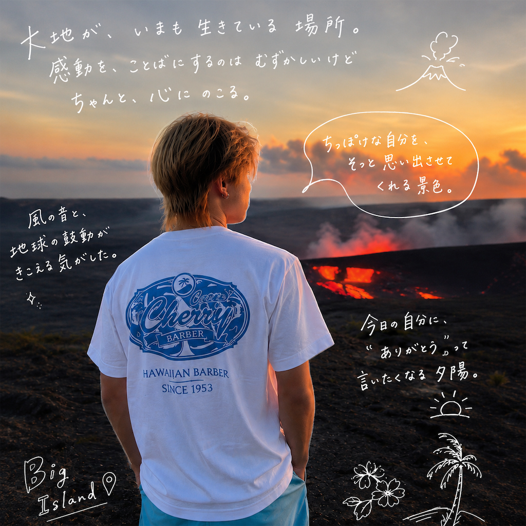f:id:cut_in_cherry:20260607210007p:image