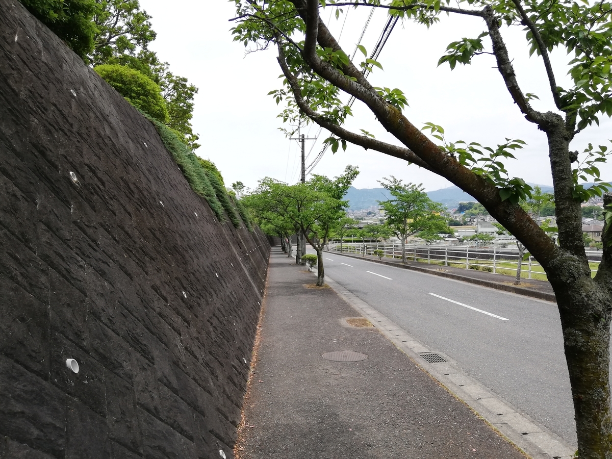 f:id:cut_offline:20190609012422j:plain