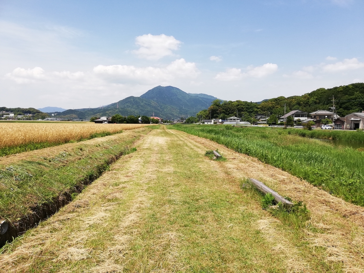 f:id:cut_offline:20190609022527j:plain