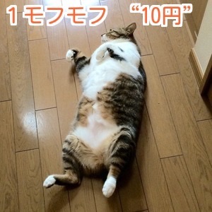 f:id:cutekitten03:20160529063602j:image f:id:cutekitten03:20160529063602j:image