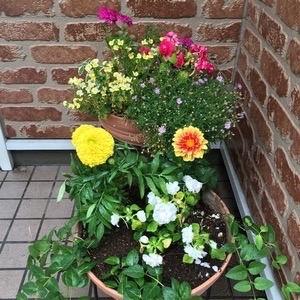 f:id:cutekitten03:20160530061721j:image f:id:cutekitten03:20160530061721j:image