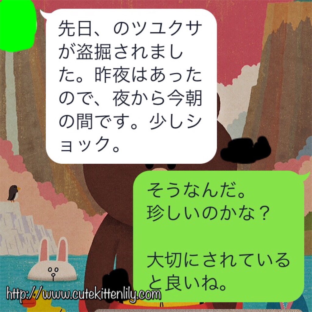f:id:cutekitten03:20170520140346j:image