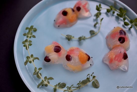 金魚ゼリー　cuteobento Maki ogawa