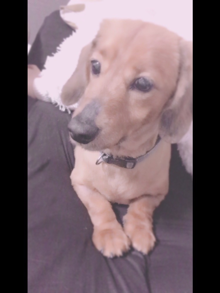 f:id:cutie_blue:20180414173725j:plain